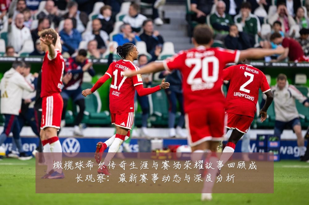 橄榄球希尔传奇生涯与赛场荣耀故事回顾成长观察:最新赛事动态与深度分析